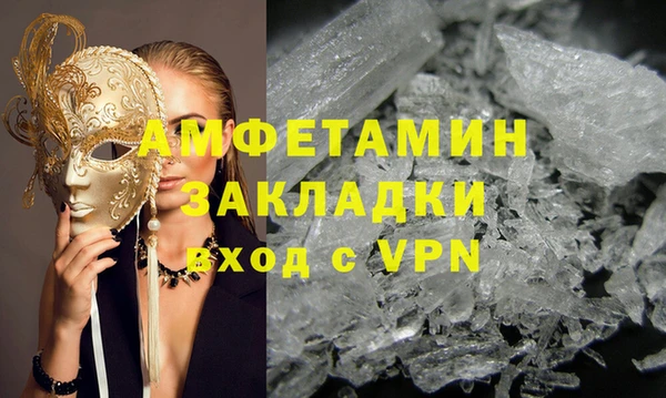 индика Козельск
