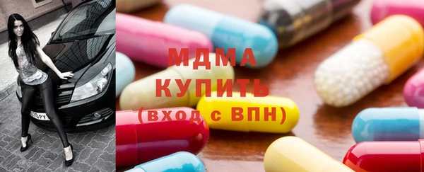 индика Козельск