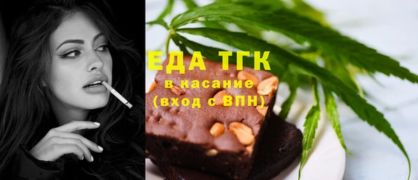 индика Козельск