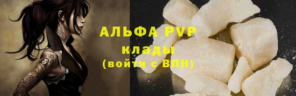 индика Козельск