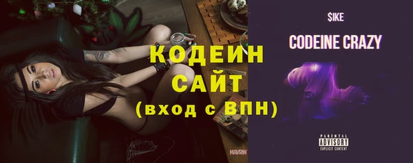 индика Козельск