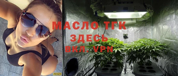 индика Козельск