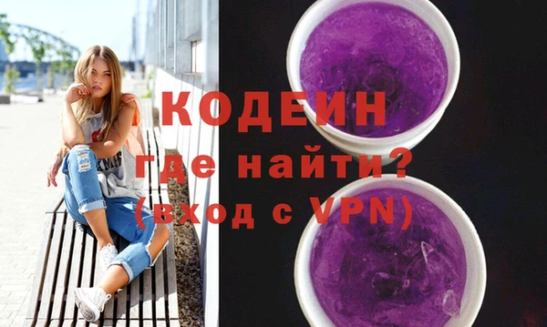 индика Козельск