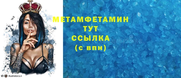 индика Козельск