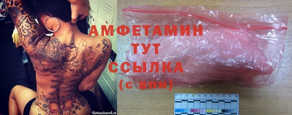 индика Козельск