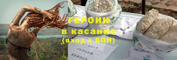 индика Козельск