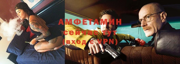 индика Козельск