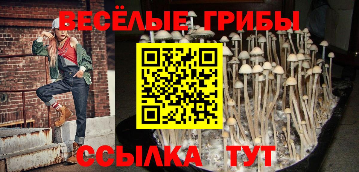 Псилоцибиновые грибы Magic Shrooms Курчатов