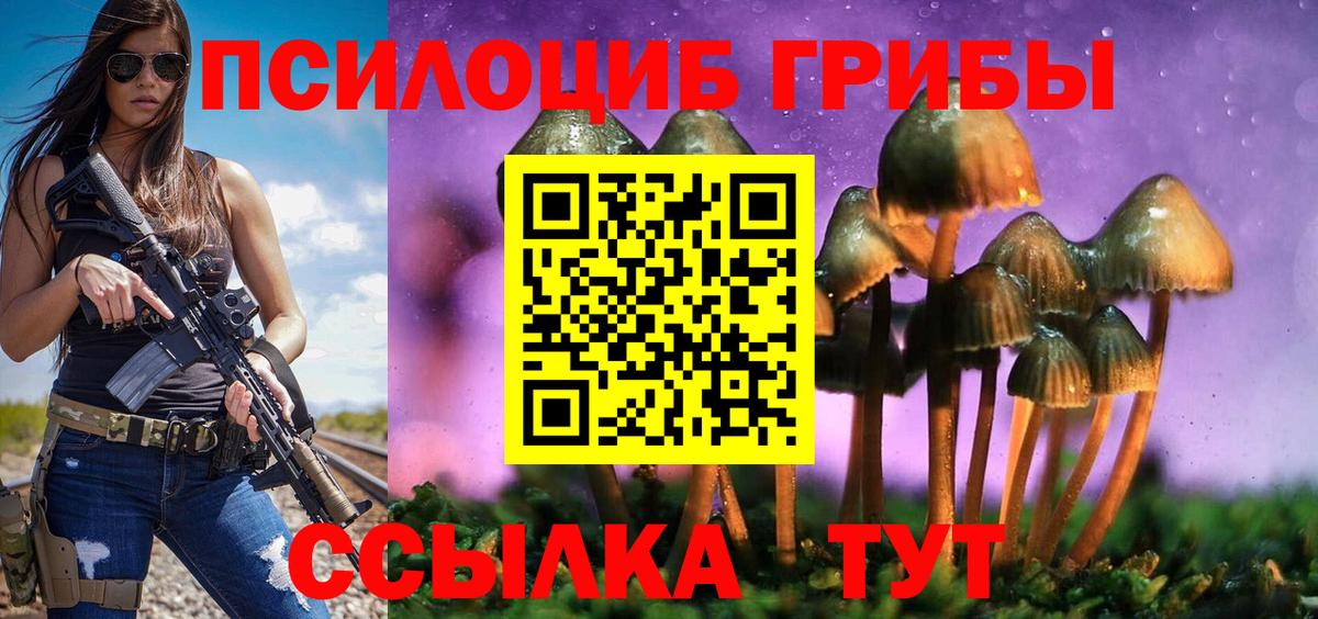 Галлюциногенные грибы MAGIC MUSHROOMS  Вход с VPN  Курчатов 
